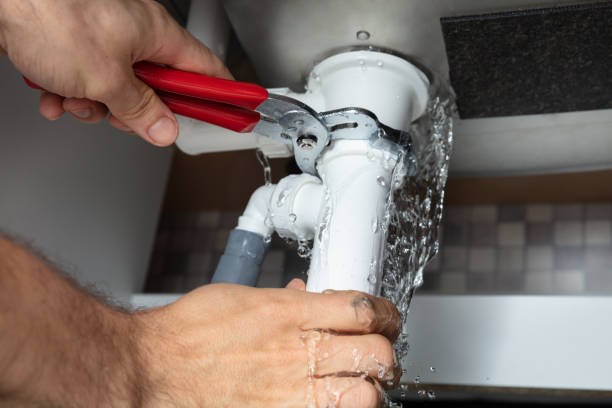 Best Residential water damage restoration  in Thief River Falls, MN