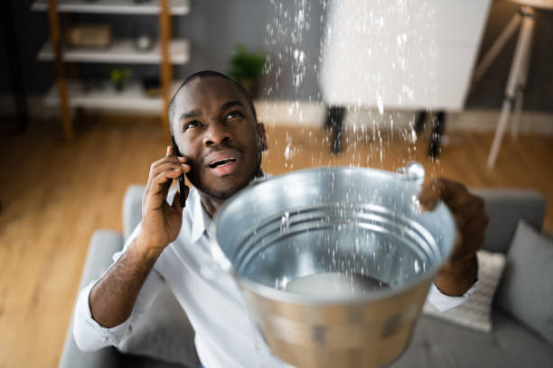 Best Water damage contractors near me  in Thief River Falls, MN