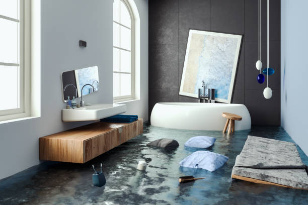 Best Basement water damage restoration  in Thief River Falls, MN
