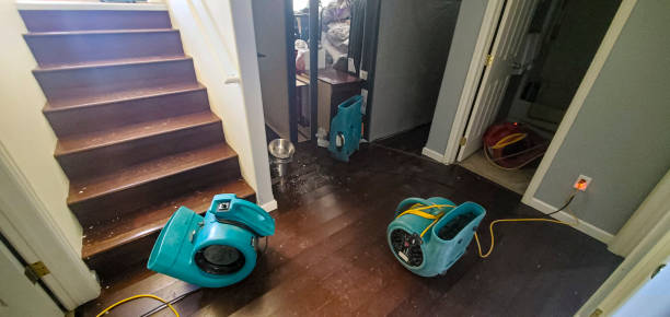 Fire Damage Restoration in MN
