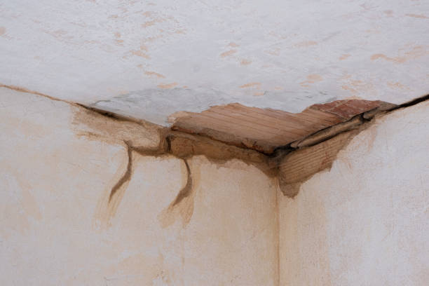 Best Commercial water damage restoration  in Thief River Falls, MN