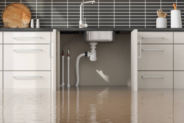 Best 24/7 water damage repair  in Thief River Falls, MN
