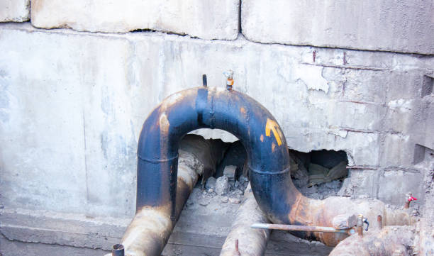 Best Professional water damage repair  in Thief River Falls, MN